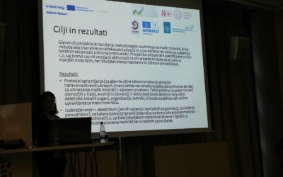 I-SWAMP activities were discussed at several events in Slovenia!