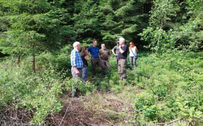 I-SWAMP taking stakeholders on field to discuss wetland management and conservation