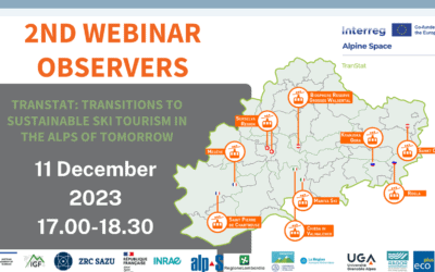 Second Webinar of the Observers
