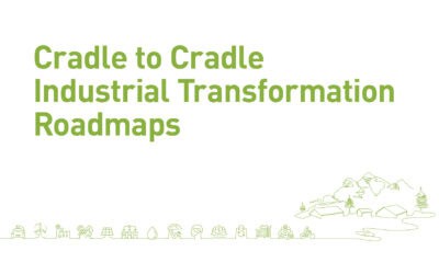 Cradle to Cradle Industrial Transformation Roadmaps