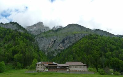 A Journey Through Our Pilot Areas: Pradibosco in Val Pesarina