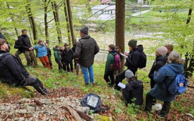 18 April 2024, Soteska (Slovenia): Excursion to Soteska Forest Living Lab with Danish foresters of Pro Silva and forestry students (35 participants)