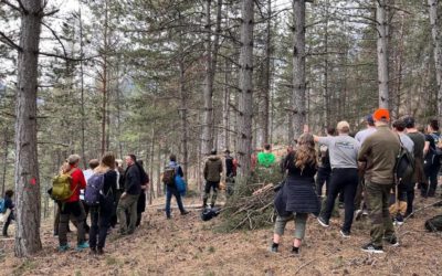 22nd march 2024, Morgex (Italy): MOSAIC welcome Swedish students. Visit of the protective forests around Morgex and description of the MOSAIC project activities with Raffaella Marzano and 37 students of the Swedish University of Agricultural Sciences