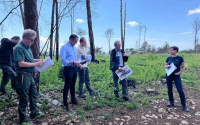 May 2024, Slovenian Forest Service presented one of its MOSAIC tests sites and the project to the Slovenian Ministry of forestry and agriculture (state secretary).