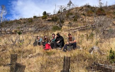 10th June 2024, Mompantero (Italy): Visit to the Mompantero pilot site by seven students of the “Restoration Ecology” class held by Raffaella Marzano (UniTO)