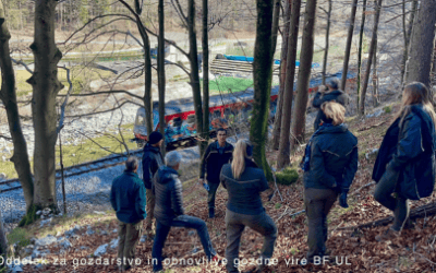 14 February 2024, Soteska (Slovenia): The Slovenian partners of MOSAIC organize a workshop in the Slovenian Forest Living Lab (FLL) of Soteska (Določitev deležnikov v pilotnem območju Soteska). The goal of this workshop was to identify the main stakeholders and to find a location for the marteloscope to be implemented in this FLL